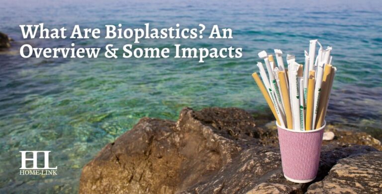 What Are Bioplastics