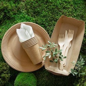 environmentally-friendly-disposable-recyclable-tableware